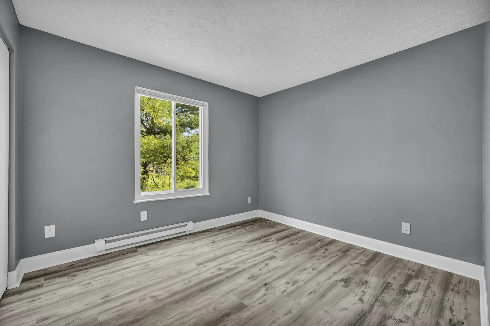 Freshly painted gray room with new flooring